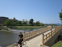 IMG_0782.JPG
